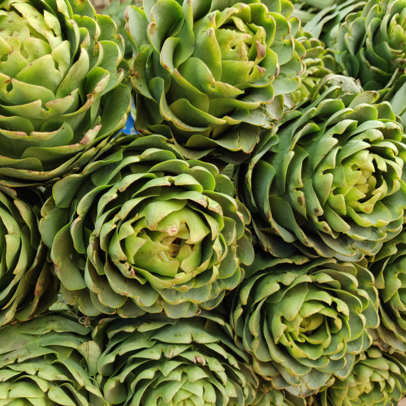 Artichoke Extract 4:1 500mg